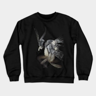 Fungus gnat under microscope Crewneck Sweatshirt